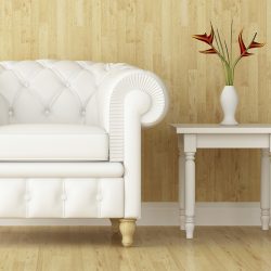 white armchair and wall decorated of interior design
